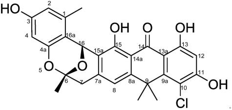 一种一氯取代的右旋氧杂蒽酮衍生物在制备抗肺癌药物中的应用的制作方法