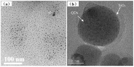 一种可凝胶化具备核-壳结构的铋基钙钛矿量子点及其制备方法和应用