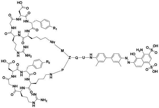 一种RGD二聚体化合物及其制备方法和应用与流程