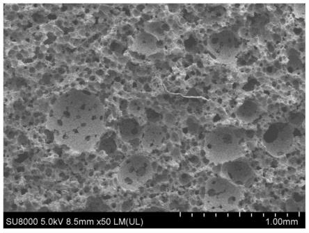 一种硅藻土基发热元件及其制备方法和应用