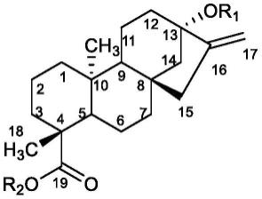 一种β-1,2-糖基转移酶及其应用的制作方法