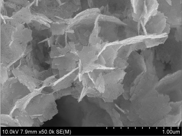 一种二氧化钛纳米片光催化材料的制备方法及其产品和应用与流程