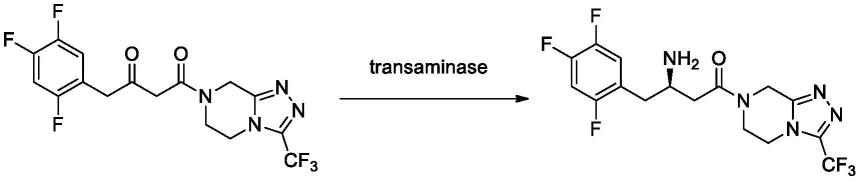转氨酶、固定化转氨酶及用于制备西他列汀的用途的制作方法