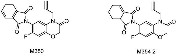 一种丙炔氟草胺的制备方法与流程