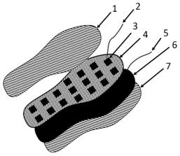 一种生物可降解的智能鞋垫及其制备方法