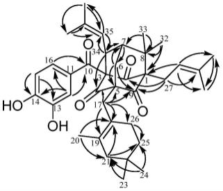 一种多戊烯基金刚烷型二苯甲酮化合物及其制备方法和应用