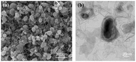 一种碳基核壳结构松果状纳米花磁性复合材料的制备方法