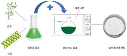 一种纳米氧化镧绿色合成工艺及其抗病毒应用