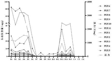 地龙溶栓活性标志肽及其在地龙溶栓活性测定中的应用的制作方法