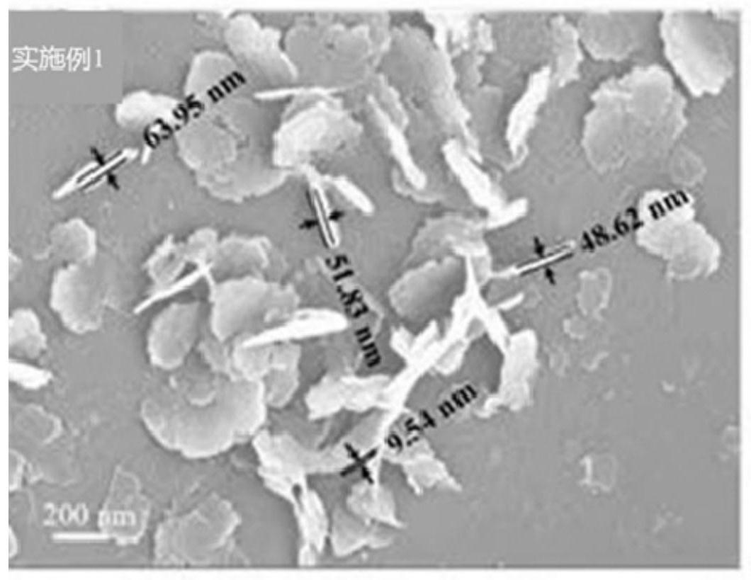 一种纳米荷叶状富铝型丝光沸石分子筛及合成方法和应用