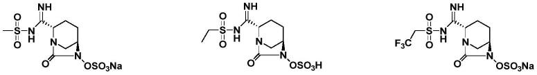 磺酰脒取代的化合物及其作为β-内酰胺酶抑制剂的用途