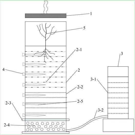 一种基于示踪技术检测作物根系水分来源的方法与流程