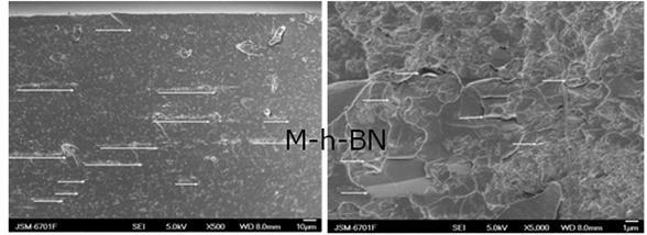 一种电磁场诱导氮化硼纳米片定向排布的环氧涂层