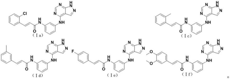 肉桂酰氨基吡唑并[3,4-d]嘧啶类化合物及其制备和应用