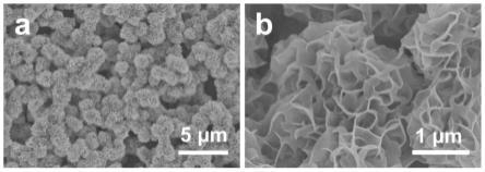 一种纳米花状Ni-ZIF材料及其制备方法和应用