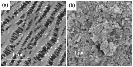 层间宽化MoSe2纳米管修饰的Celgard隔膜及其制备方法和在锂硫电池中的应用