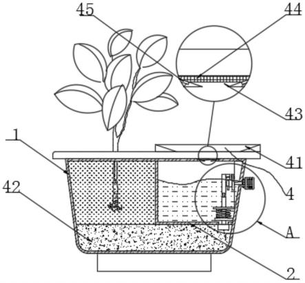 一种具备集水器的树苗栽培抗旱装置的制作方法
