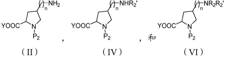 作为α-2-δ-1阻断剂的烷基氨基脯氨酸衍生物的制作方法
