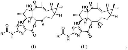 千金二萜烷噻唑衍生物及其制备方法和用途