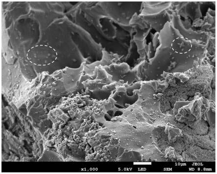 铁碳纳米复合物及其制备方法与应用与流程