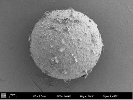 一种携载紫杉醇药物的丙烯酸微球及其制备方法与流程