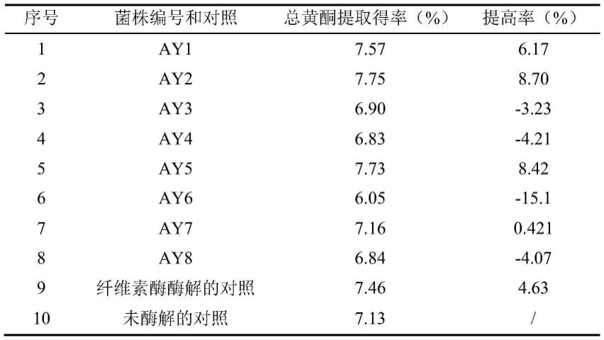 禾谷镰刀菌AY2-19及其在提取艾叶总黄酮中的应用