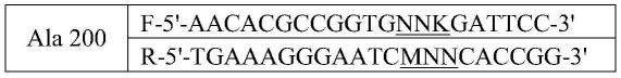 D-氨甲酰水解酶突变体、基因、表达载体及其应用