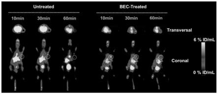 一种颗粒酶B靶向激活型PET显像探针及其应用的制作方法
