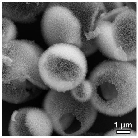 一种氮氟共掺杂氧化镍微米花球的制备方法