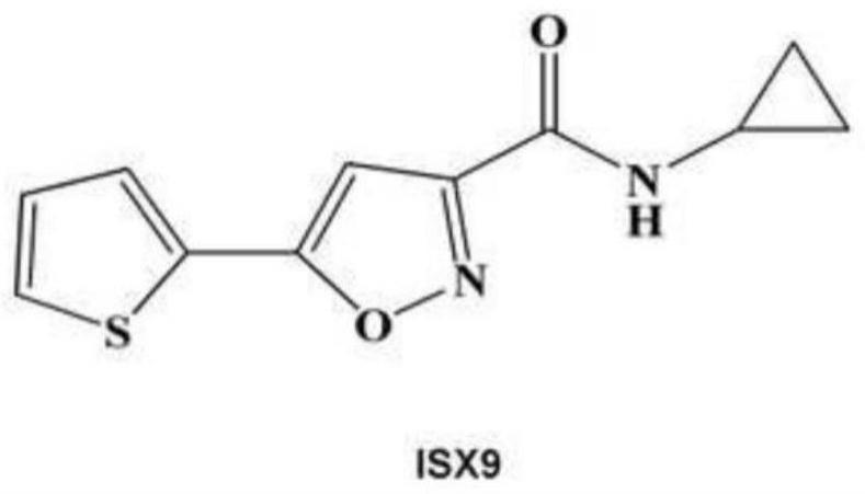 靶向轴蛋白的小分子ISX9在制备用于防治脱发产品中的用途