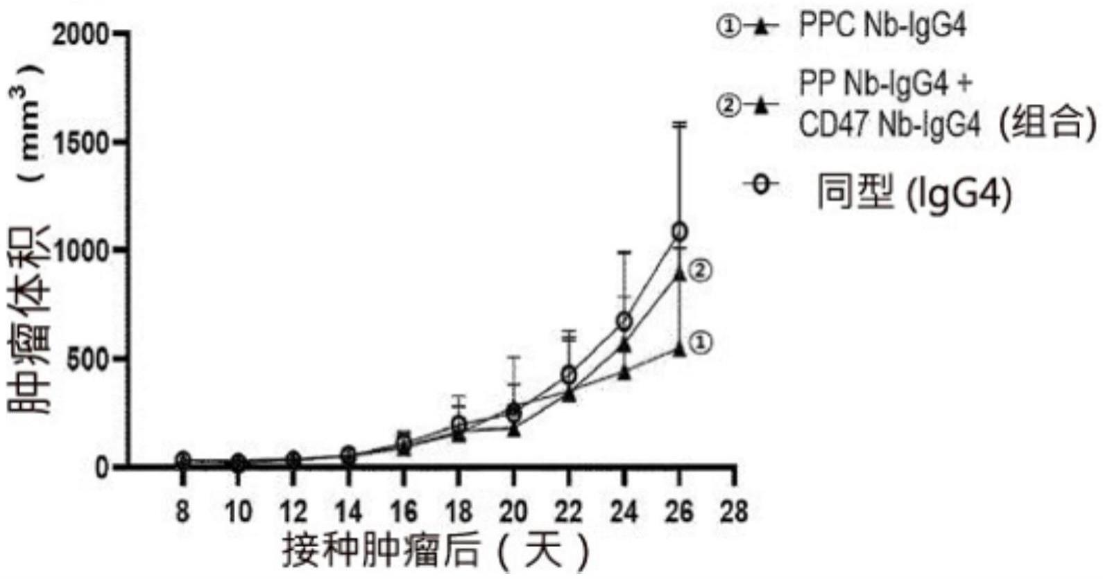针对PD-L1及CD47的双特异性单域抗体及其用途