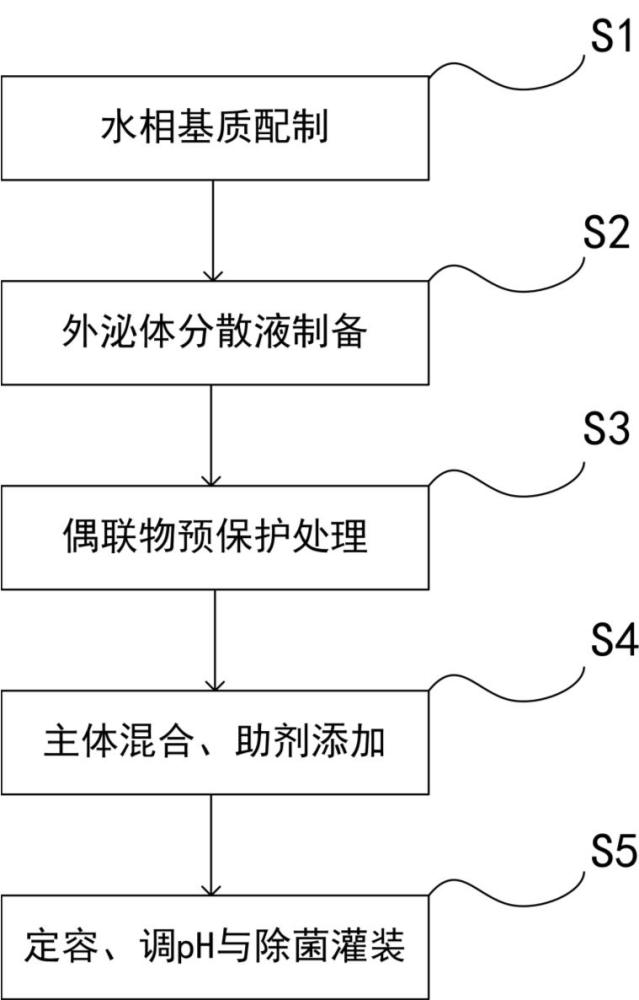 一种含间充质干细胞外泌体与人参外泌体的抗衰老组合物的制作方法