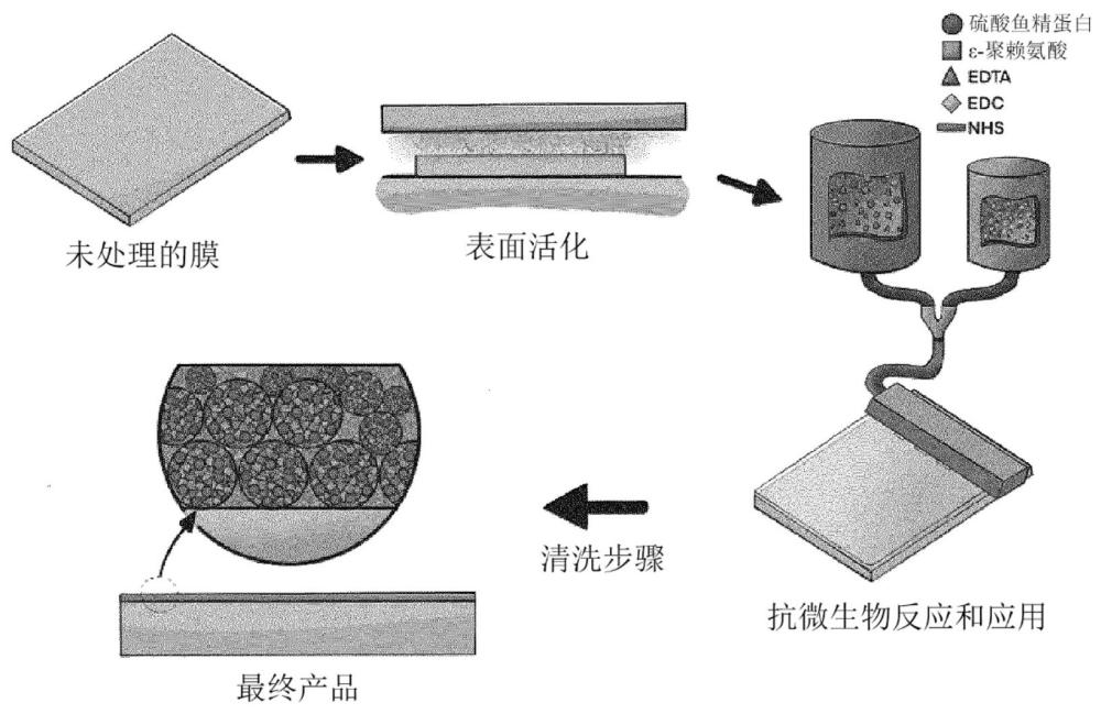 抗微生物微凝胶和制备其的方法与流程