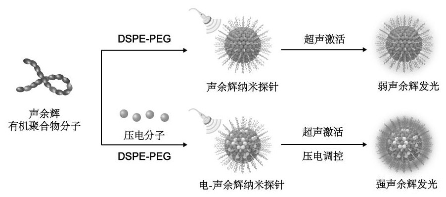 一种超声触发压电局域电场放大声余辉信号的纳米探针及其制备方法及其应用