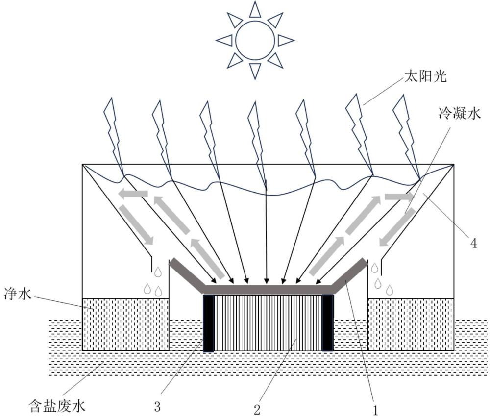 一种基于仿生纤维束载体的高效抗盐太阳能界面水蒸发器及其海水淡化应用