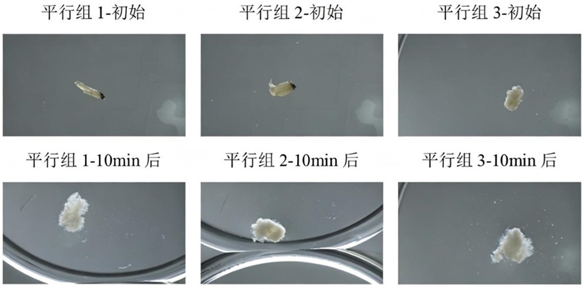 低共熔溶剂及其制备方法与应用、化妆品组合物与流程