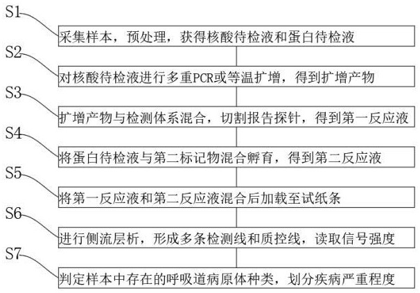 一种特异性呼吸道疾病多重核酸病原体和炎症程度检测的试纸条及其检测方法与流程