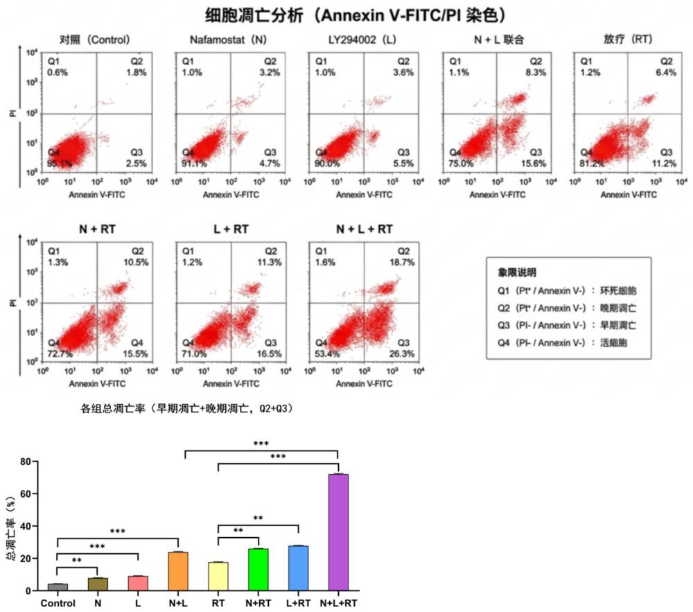 一种结直肠癌放疗增敏组合物