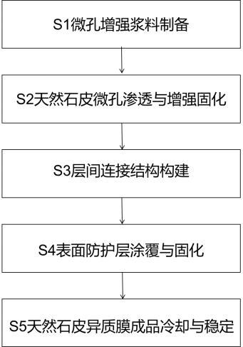 基于微孔渗透与过渡交联的天然石皮异质膜复合工艺的制作方法