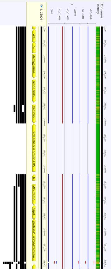 一种viralenhancinprotein基因及其引物探针组合和在肠炎沙门菌检测中的应用