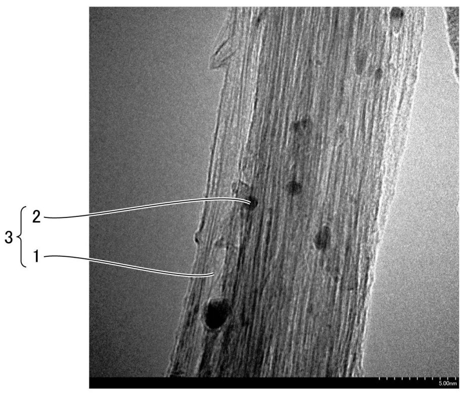 碳纳米管复合体以及碳纳米管复合体集合线的制作方法