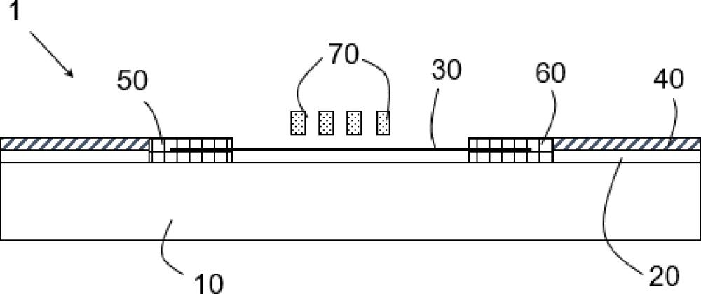 包括碳纳米管的纳米机电器件及制造方法与流程
