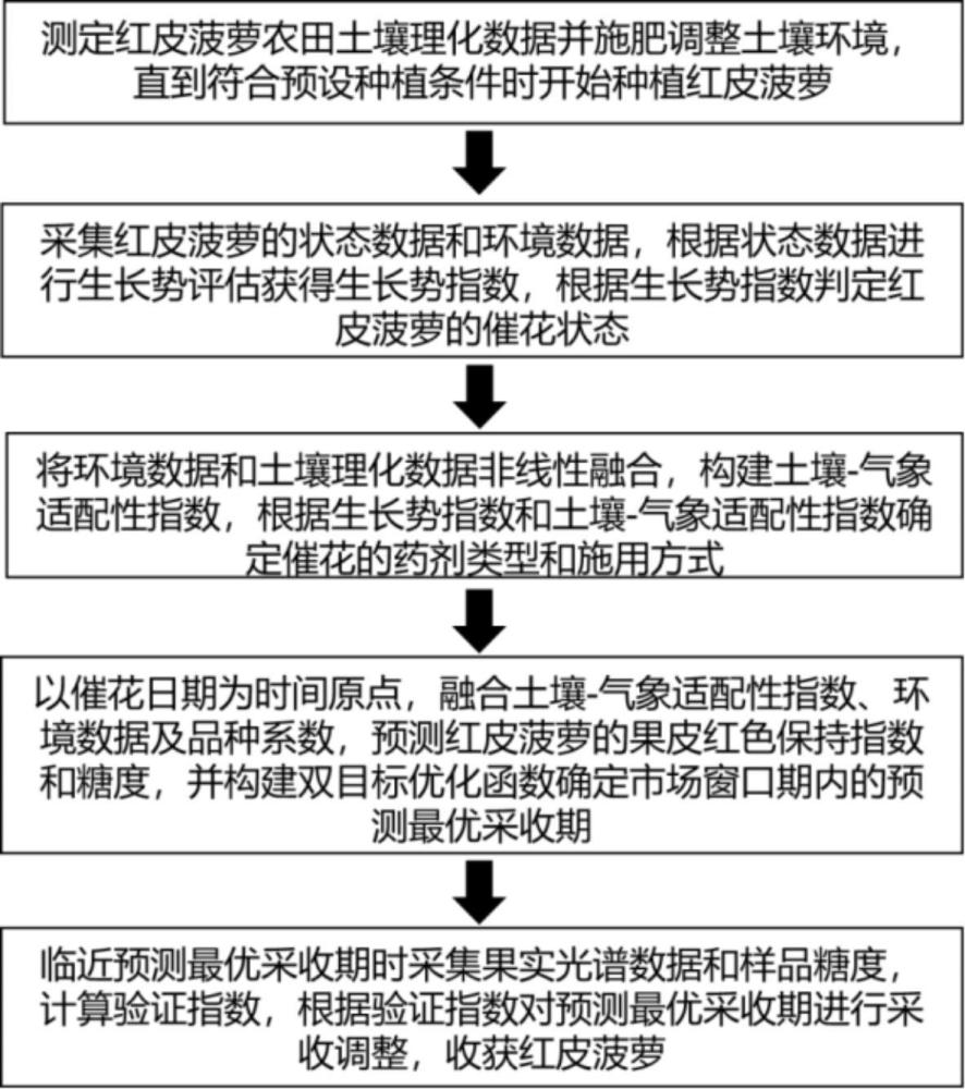 一种保持菠萝果皮红色并且可以食用的栽培方法