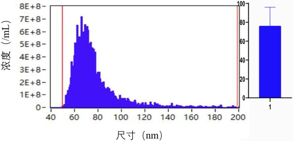 儿童移植物抗宿主病的膜蛋白标志物检测模型及其应用的制作方法