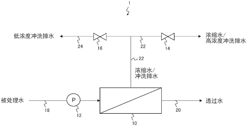 水处理装置以及水处理方法与流程